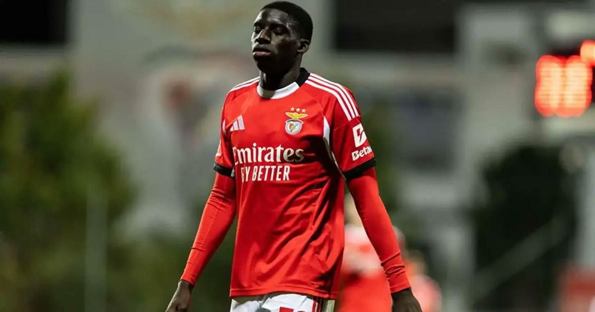 bob半岛体育官方网站-德天空:拜仁正在关注本菲卡17岁的右后卫班加基